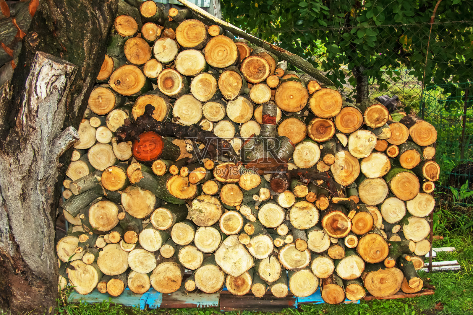 冬天准备。堆放木柴。一堆木柴。柴火的背景。照片摄影图片