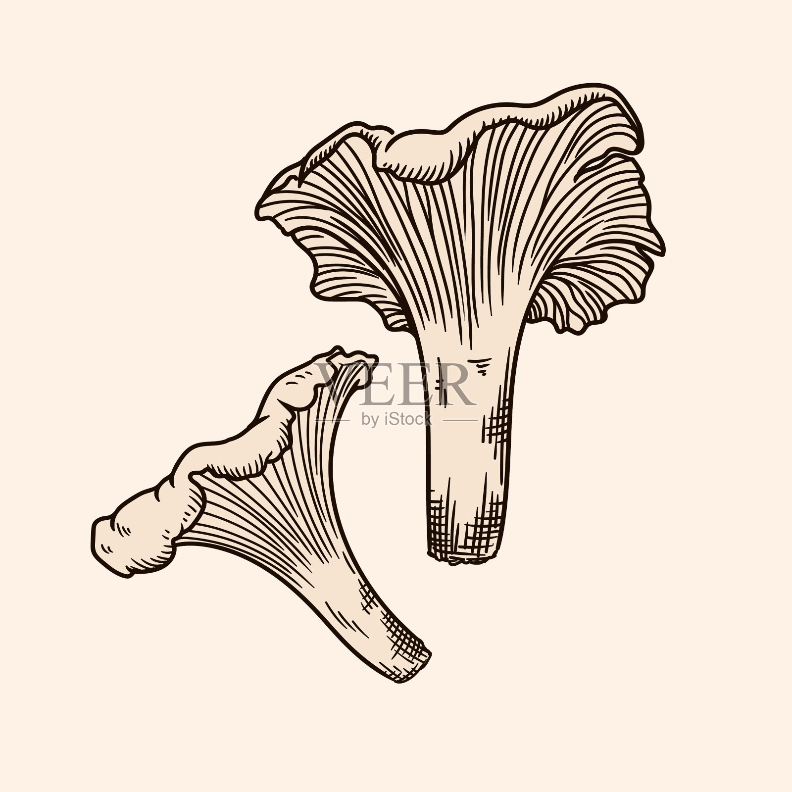蘑菇设计元素图片
