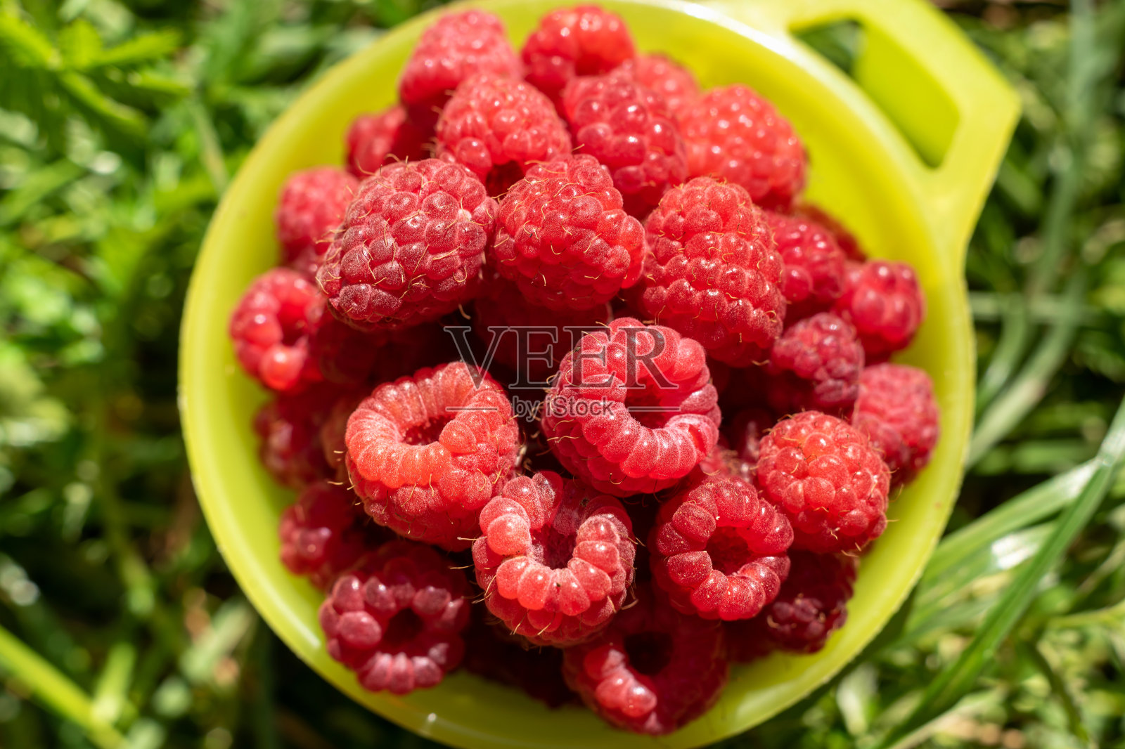 俯视图新鲜覆盆子在黄色的杯子。照片摄影图片