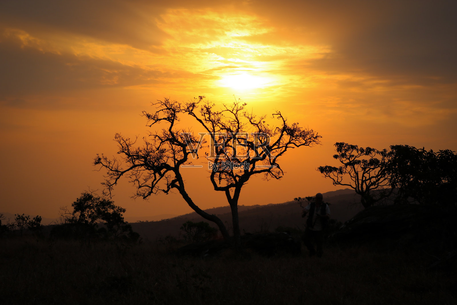 大草原环境,有日落,有山,有树照片摄影图片