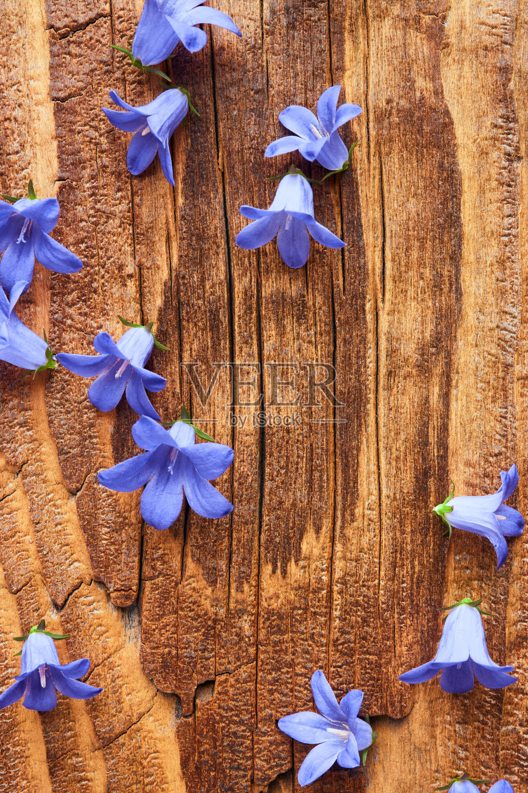 紫色的花朵顶在复古的木制背景上照片摄影图片