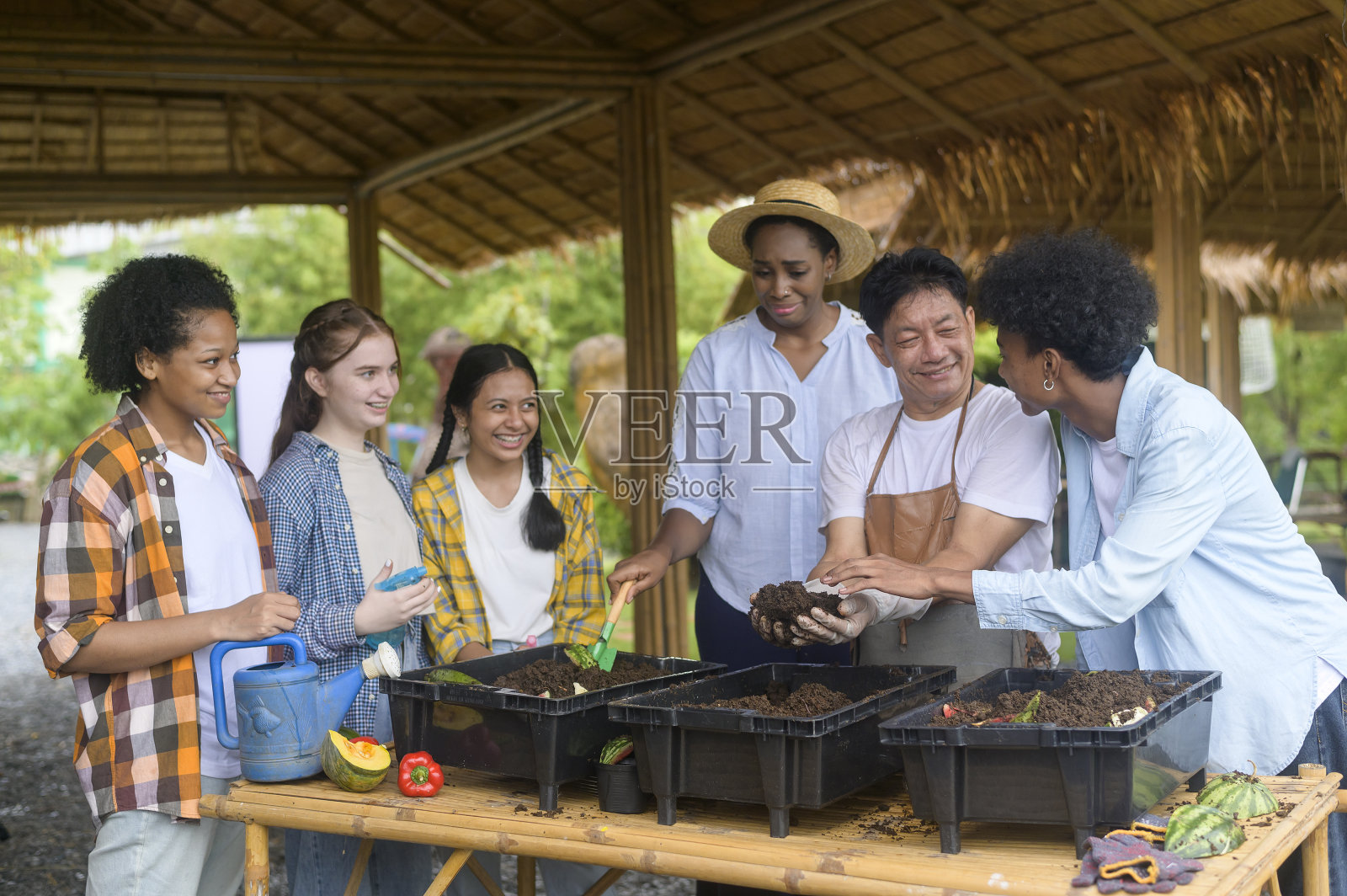 一批混合种族的学生和教师学习农业技术在智慧农业,教育生态农业理念。照片摄影图片