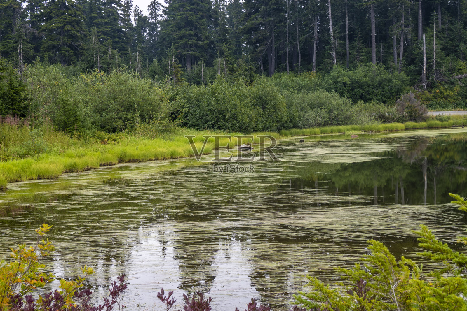 美国华盛顿州北喀斯喀特国家公园照片摄影图片