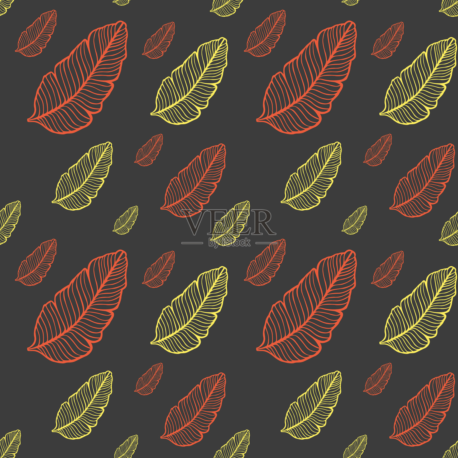 叶子或羽毛的图案插画图片素材