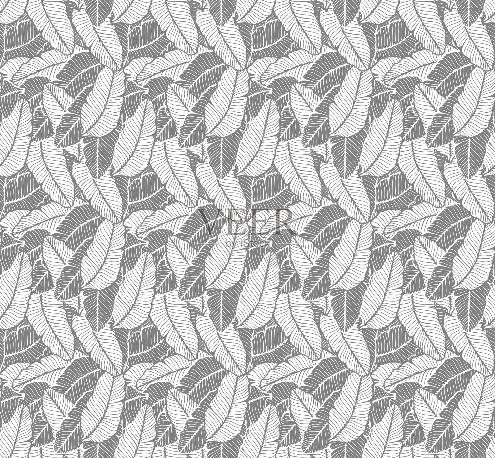 叶子或羽毛的图案插画图片素材