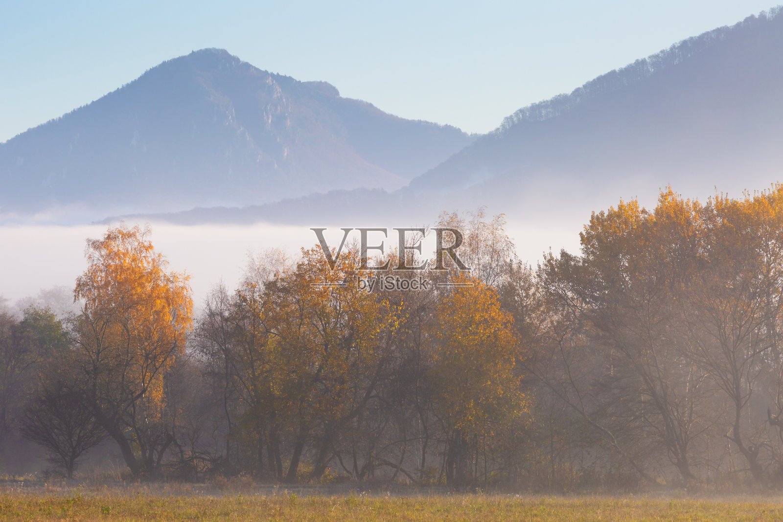 秋天的森林在马拉法特拉山脉的山麓。照片摄影图片