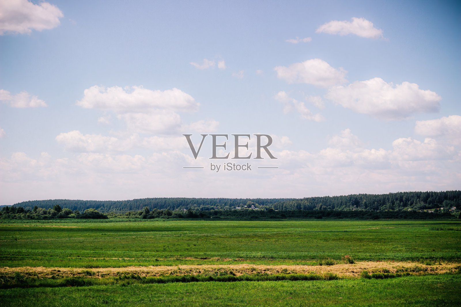 一大片田野,后面有一片森林照片摄影图片