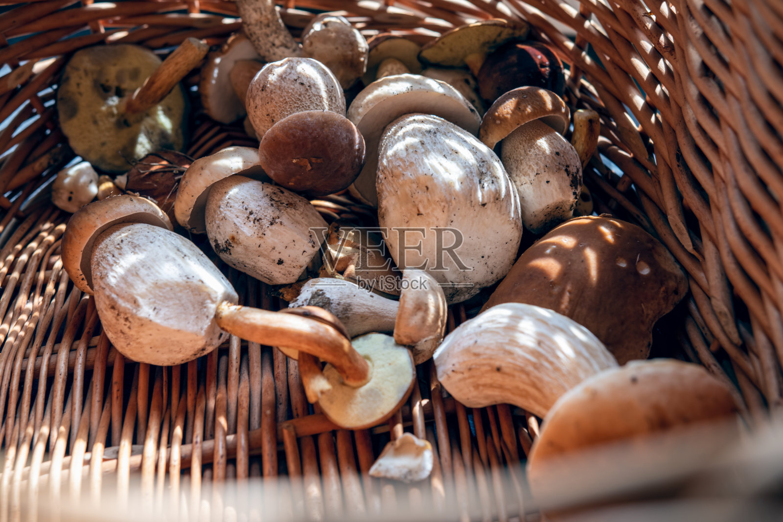 伯雷图斯在柳条篮子里。篮子里的光照亮了蘑菇照片摄影图片