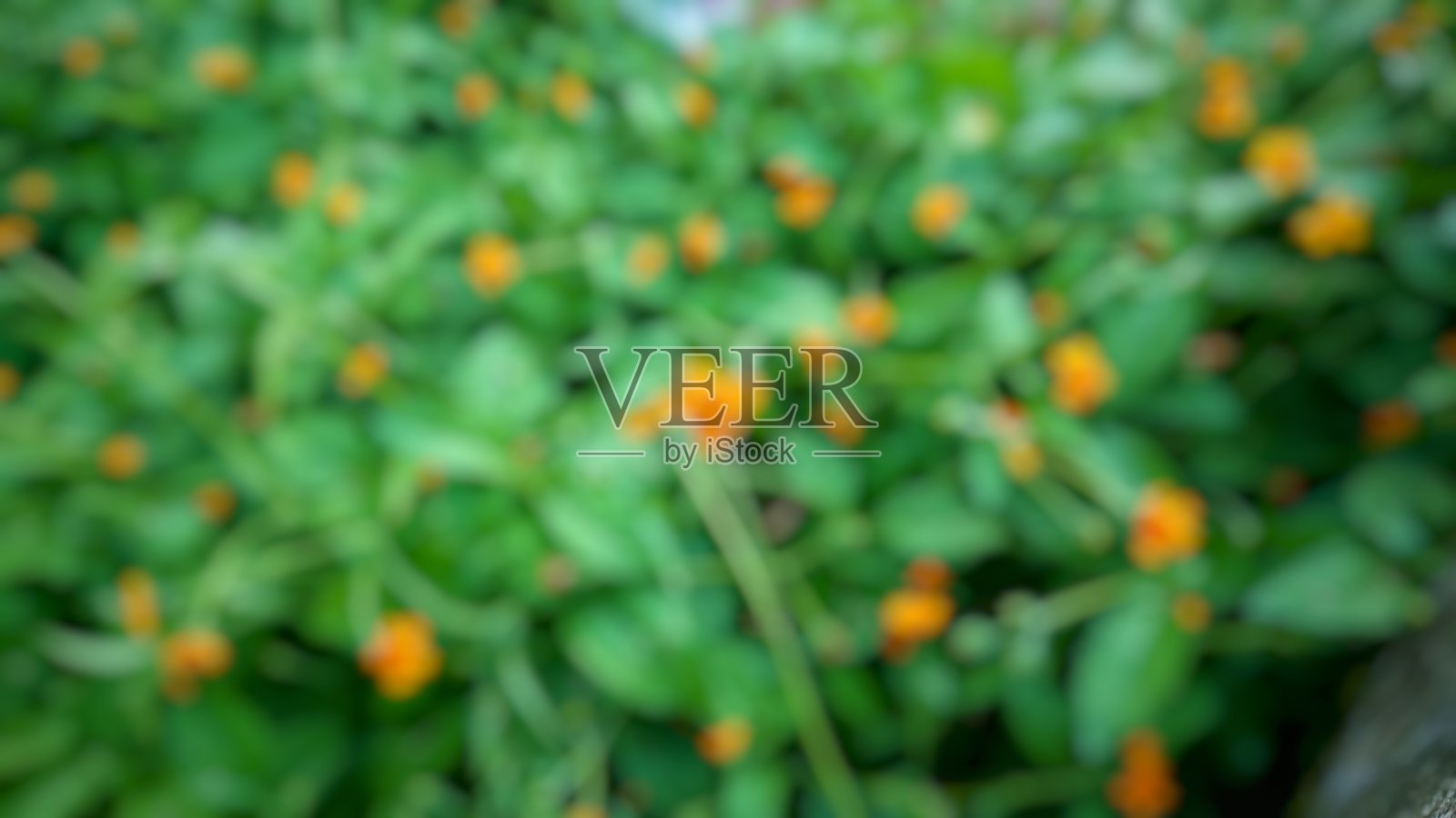 抽象与模糊的背景股票图片照片摄影图片