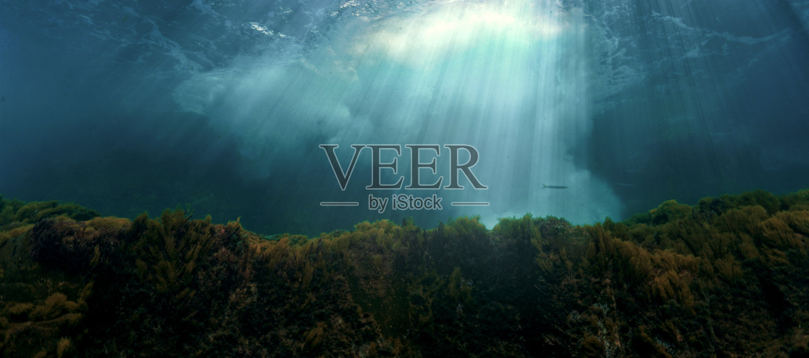 珊瑚礁上的光线照片摄影图片