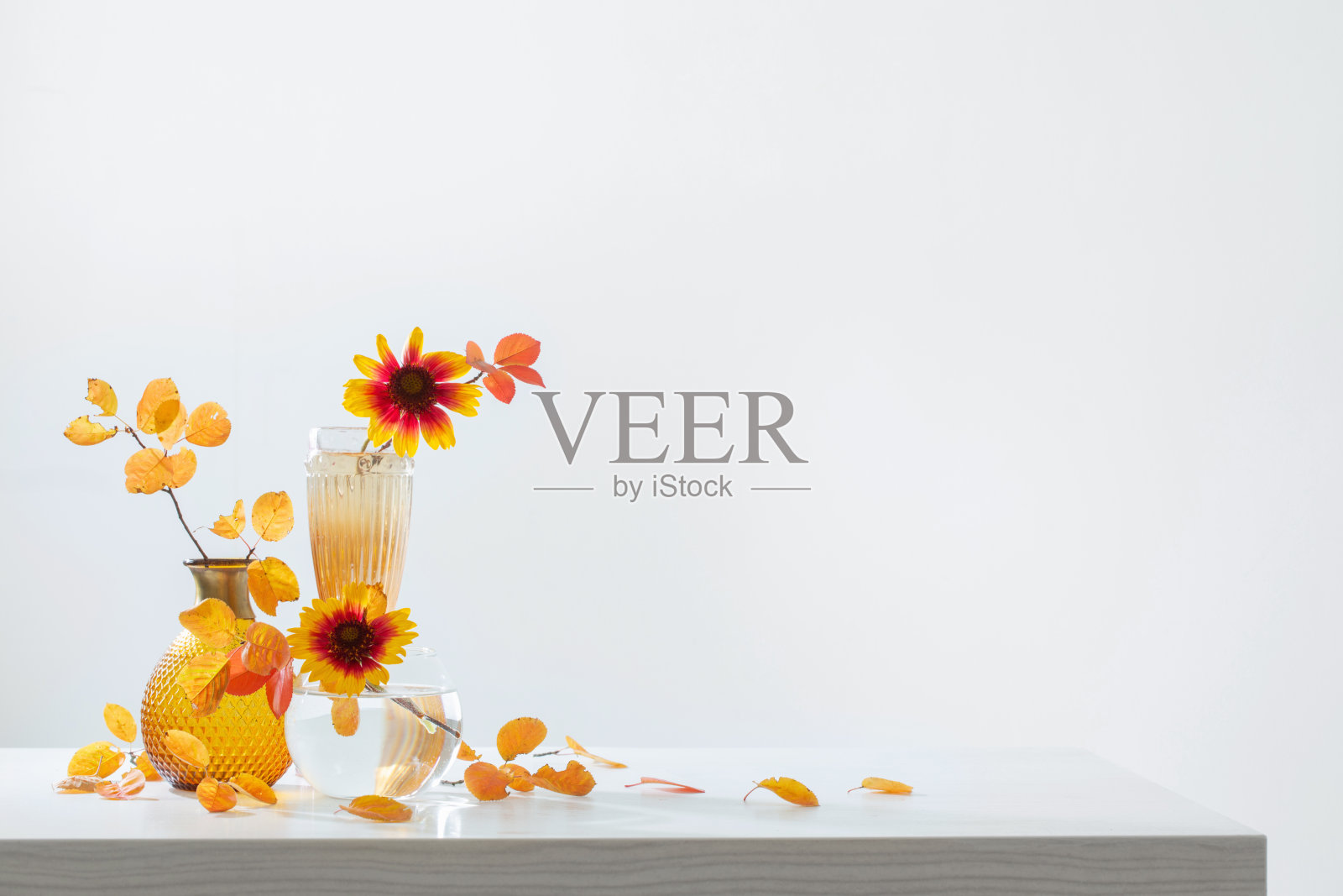 白底玻璃花瓶中的菊花照片摄影图片