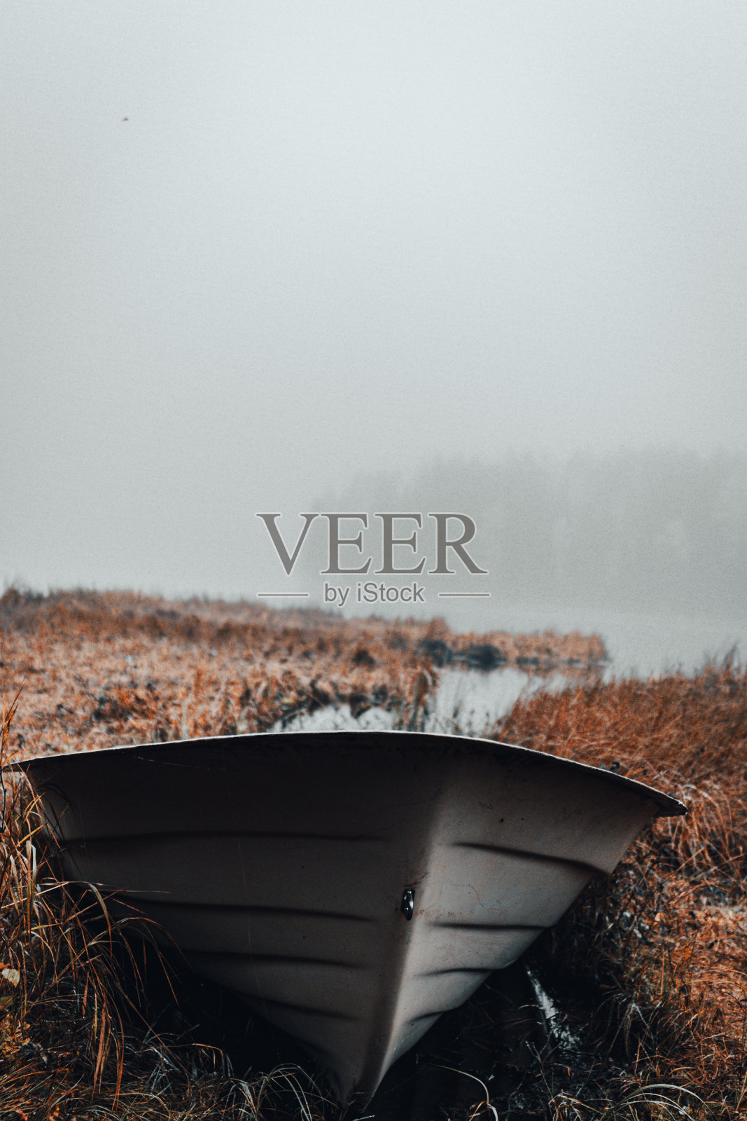 秋天照片摄影图片