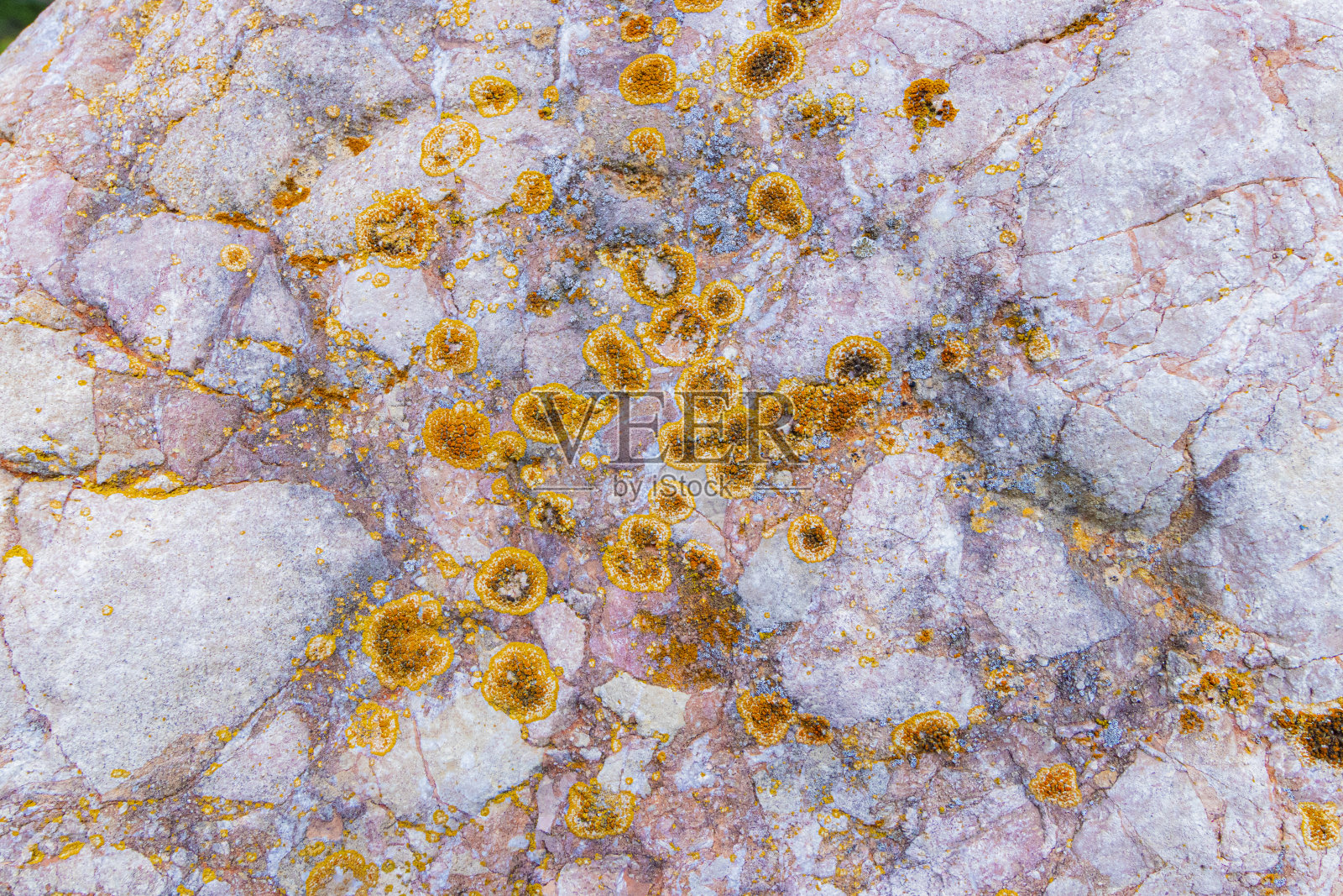 角砾岩覆盖地衣,形成西班牙比利牛斯山。照片摄影图片