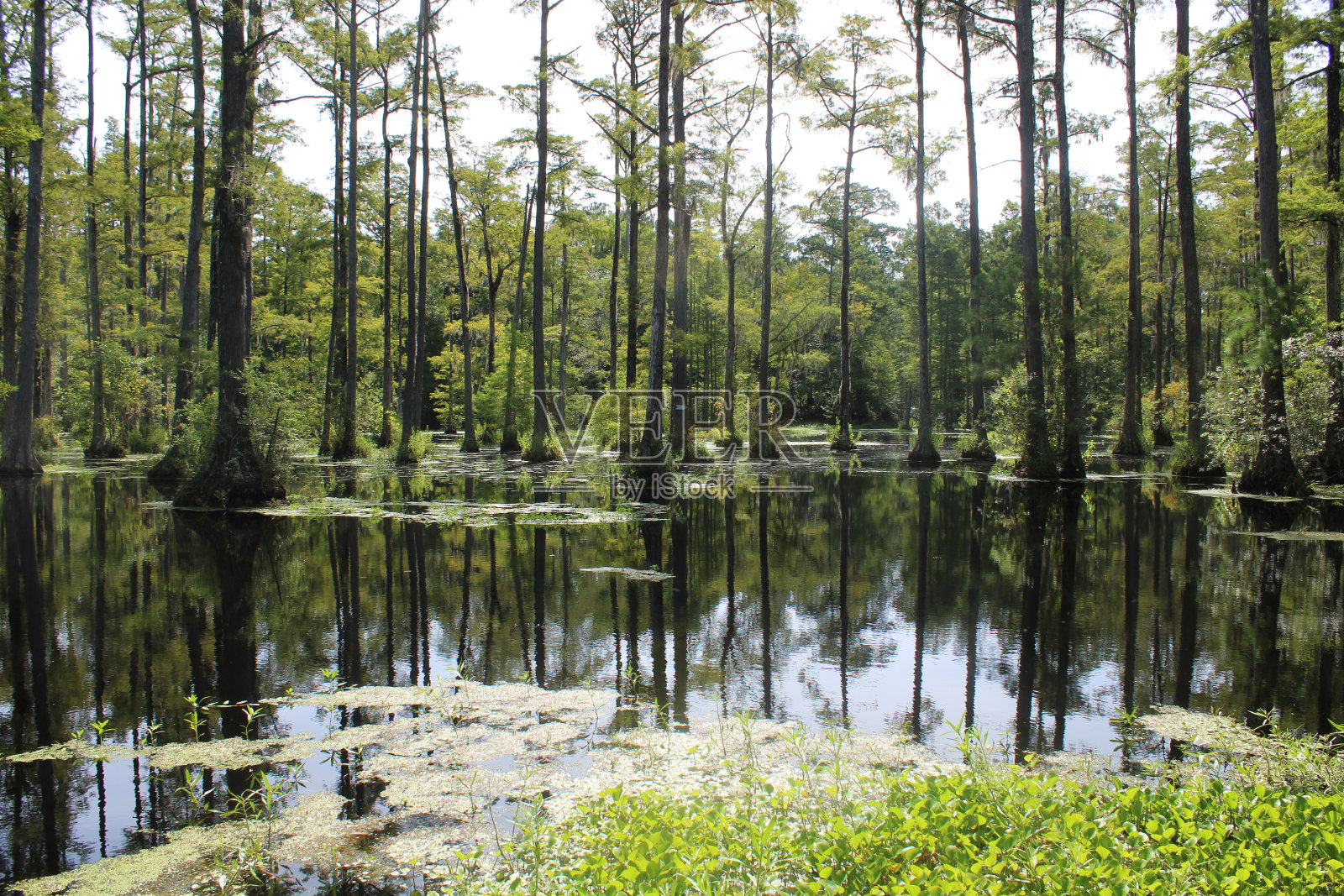大自然的风景照片摄影图片