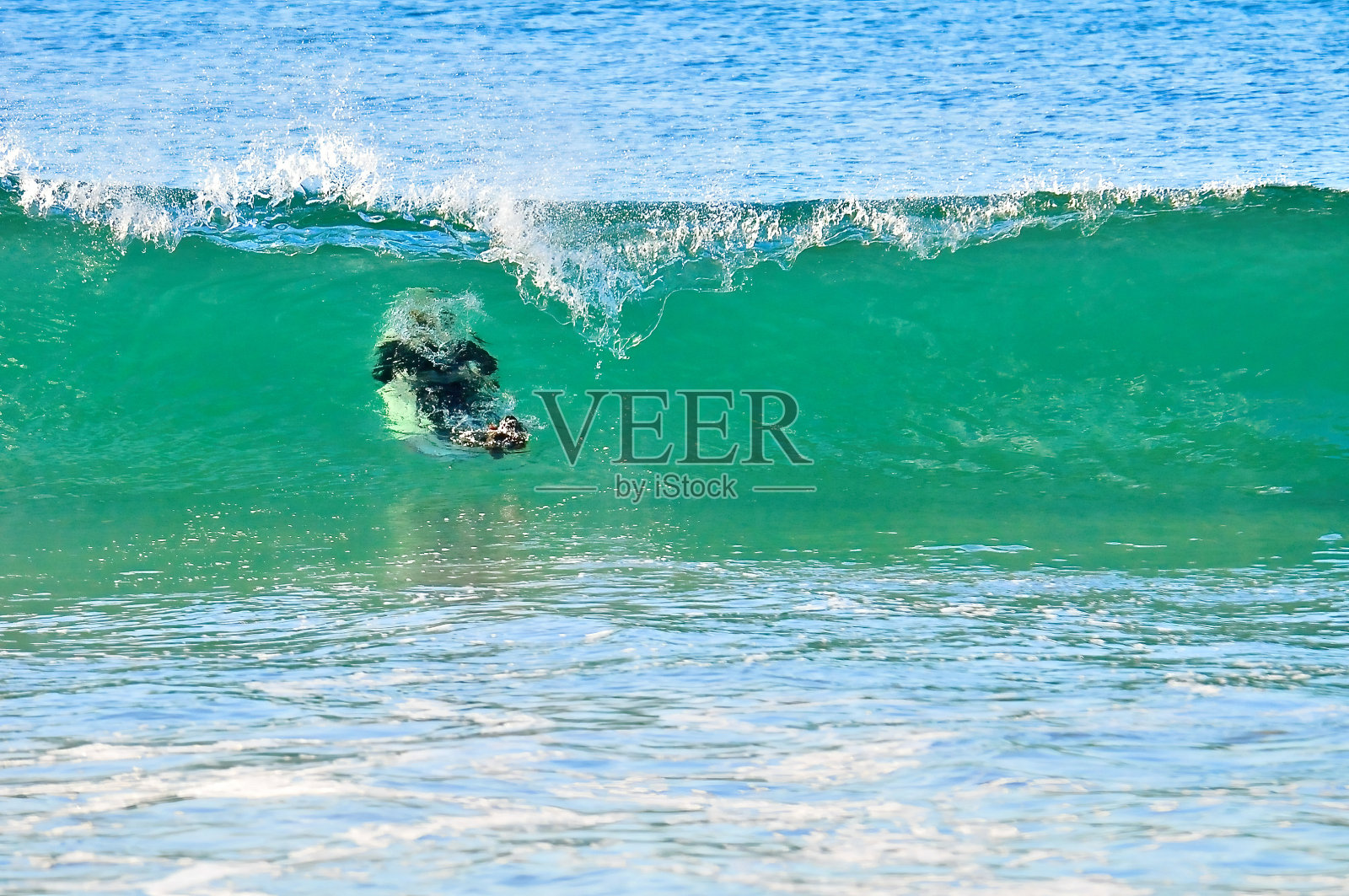冲浪者在巨浪下潜水照片摄影图片
