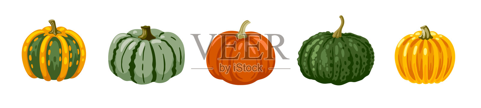 可爱的手绘南瓜,各种颜色。条纹葫芦集合。插画图片素材