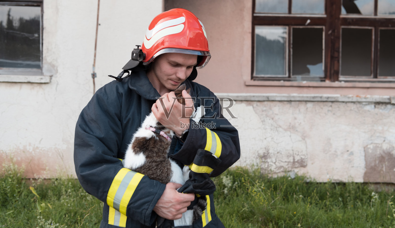 特写的英雄消防员穿着防护服,戴着红色头盔,怀里抱着一只获救的猫。灭火行动中的消防队员。照片摄影图片
