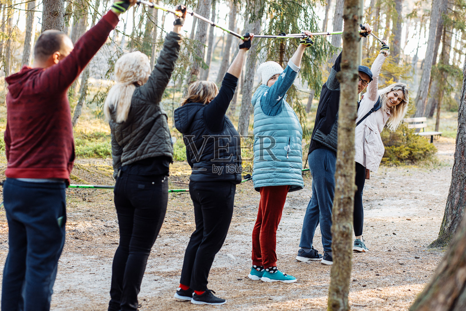 一群人在森林里徒步旅行时,把北欧登山杆举在空中。振臂高呼照片摄影图片