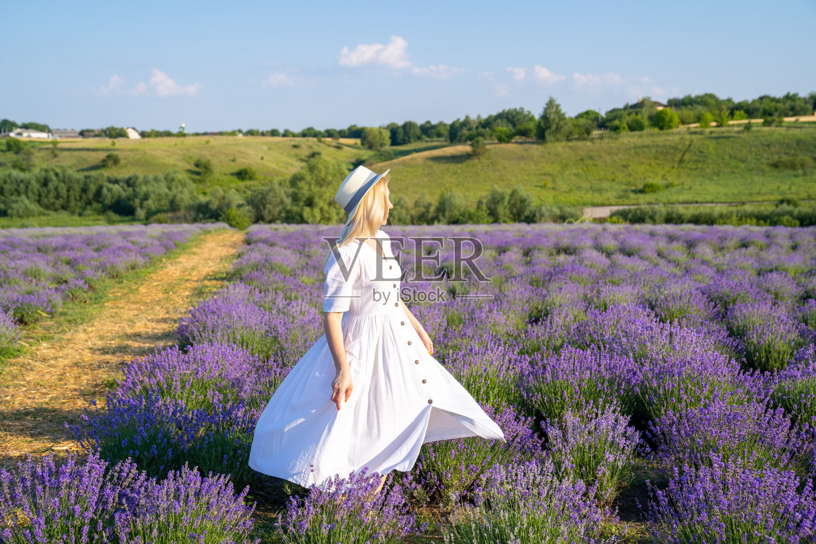身穿白色礼服、头戴帽子的女模特站在薰衣草田中翩翩起舞。自由观念,好心情,享受自然,幸福感照片摄影图片