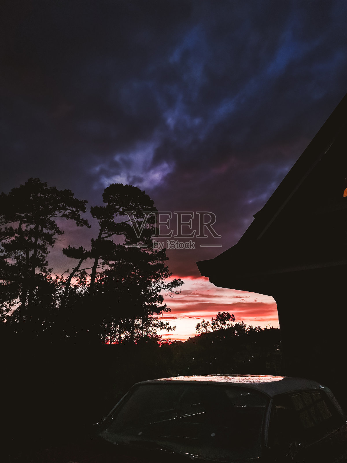 鲑鱼的日落照片摄影图片