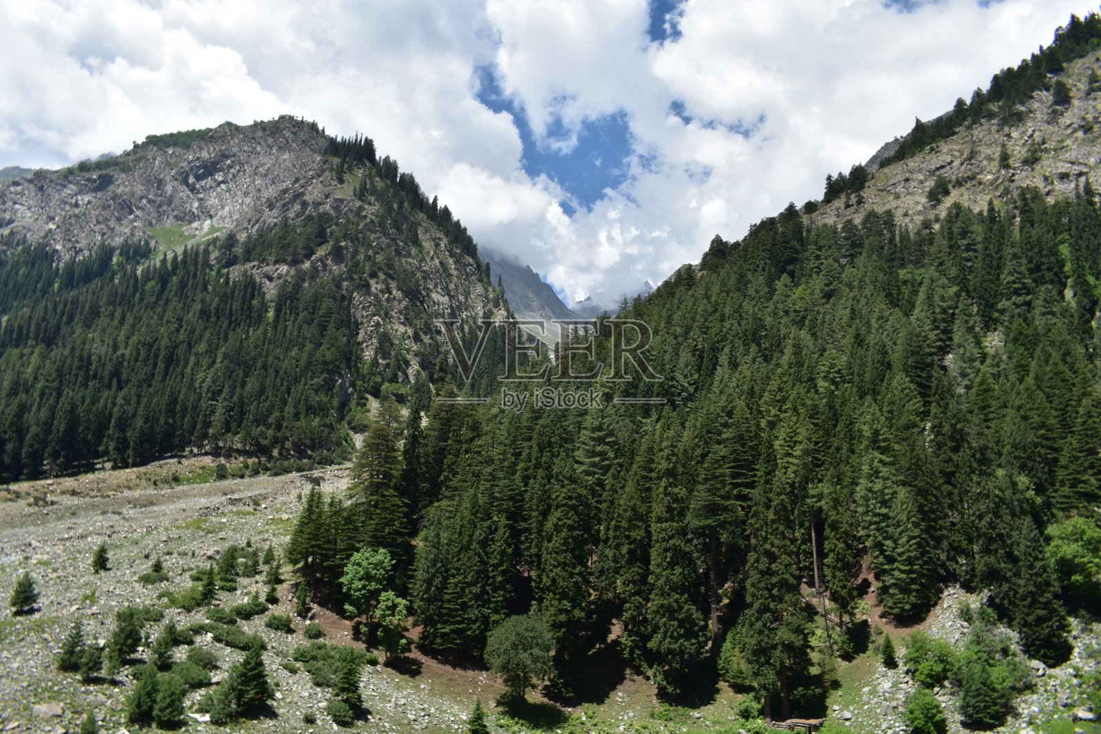 春天天空的云朵,自然的风景。照片摄影图片