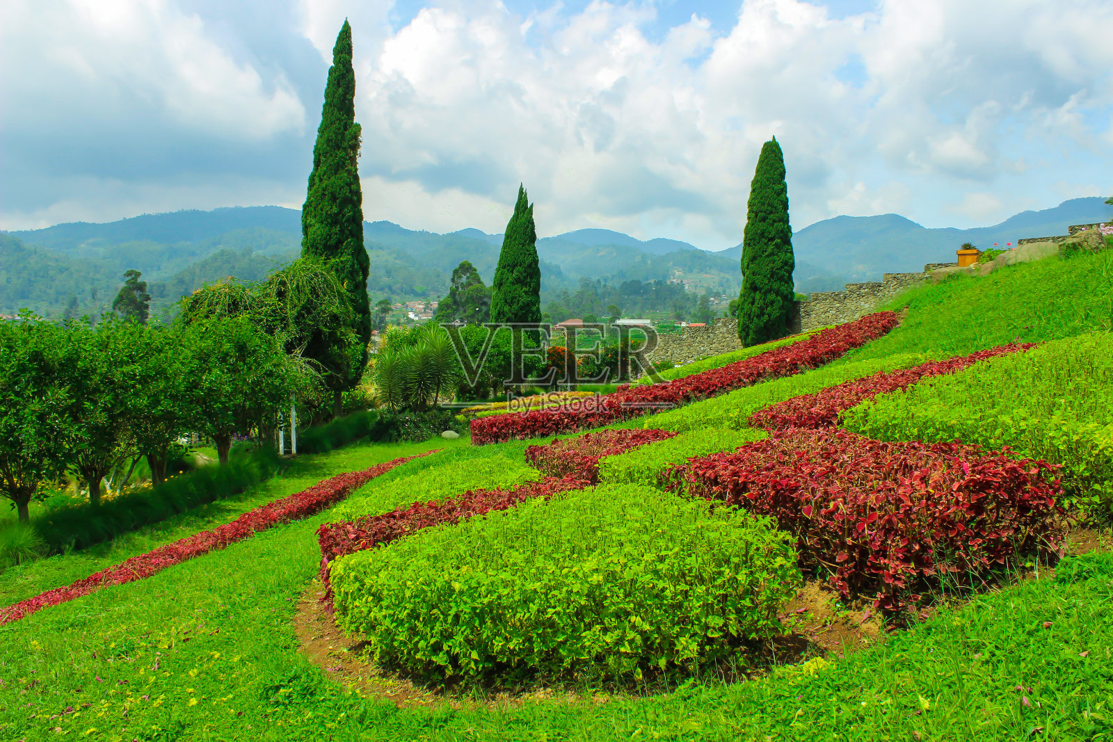 自然花园,Ciwidey五彩缤纷的自然风光。绿色植物Wallpapper照片摄影图片