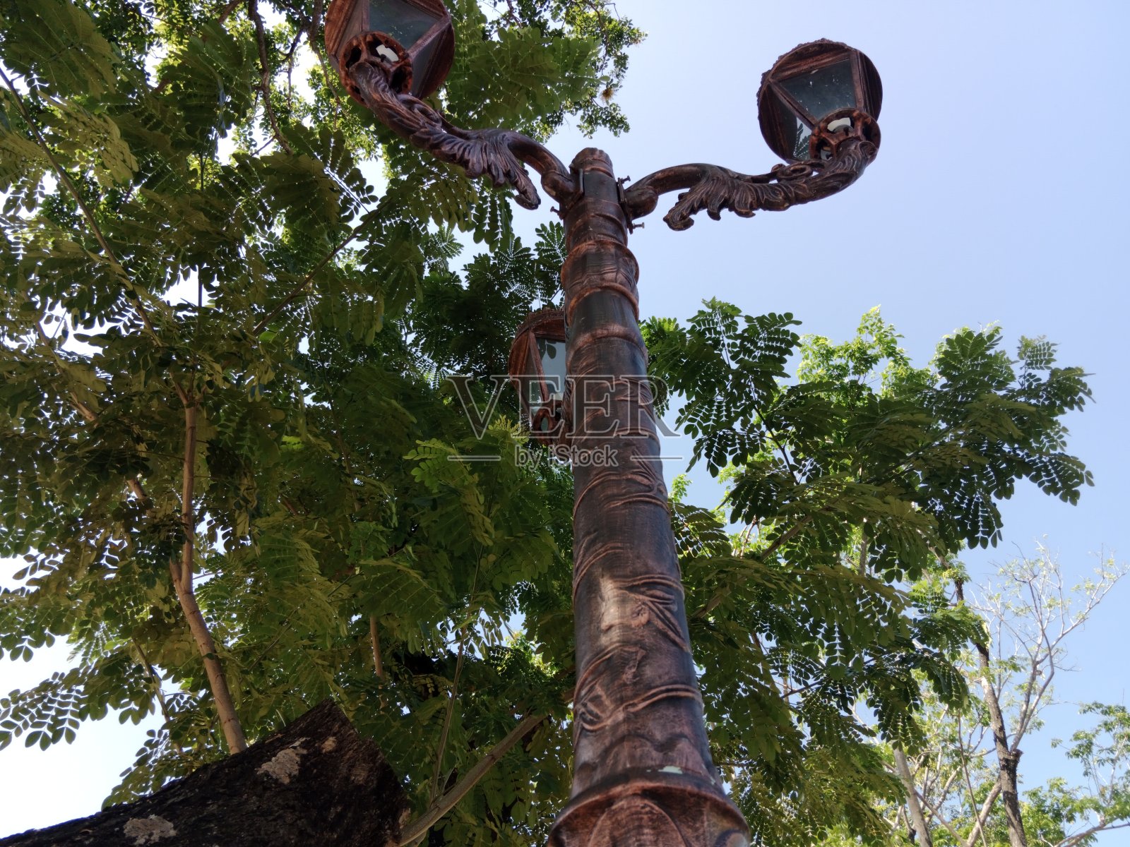 花园路灯杆照片摄影图片