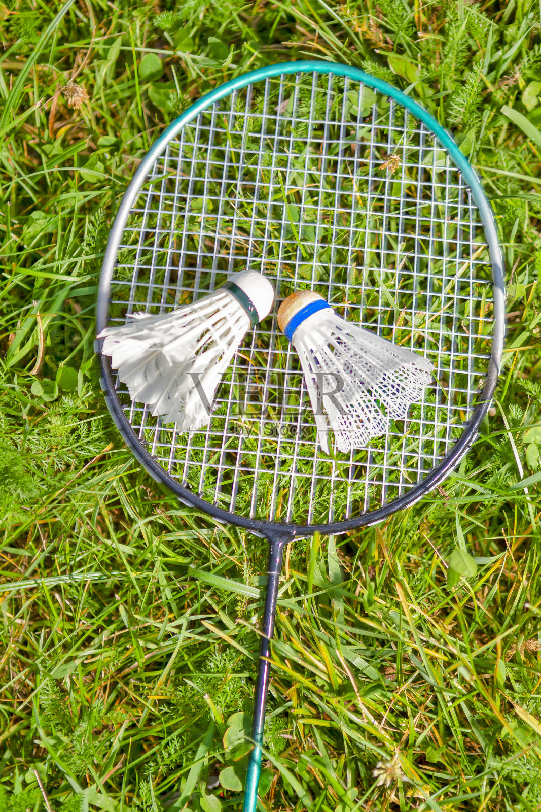 户外草坪上摆放的一对羽毛球和炭拍照片摄影图片