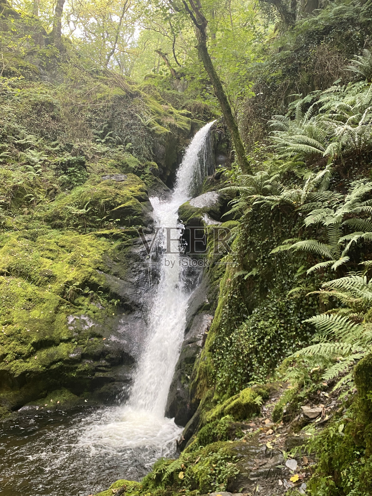 的观点照片摄影图片