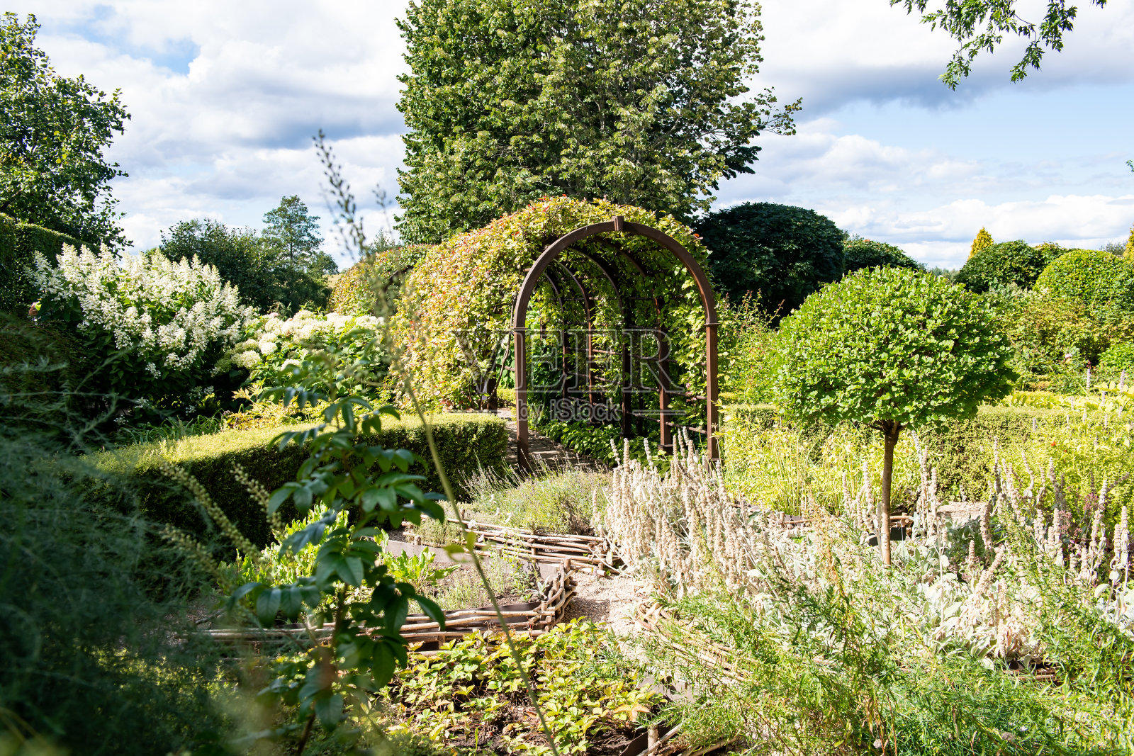 森林和鲜花照片摄影图片