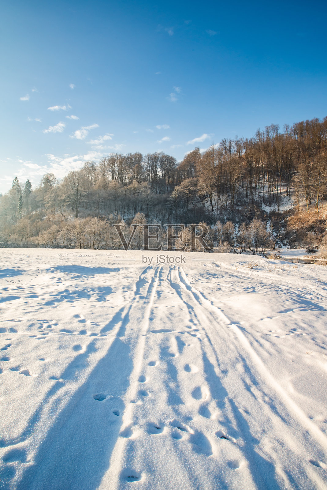在一个寒冷的冬天,森林附近的雪地上的路照片摄影图片