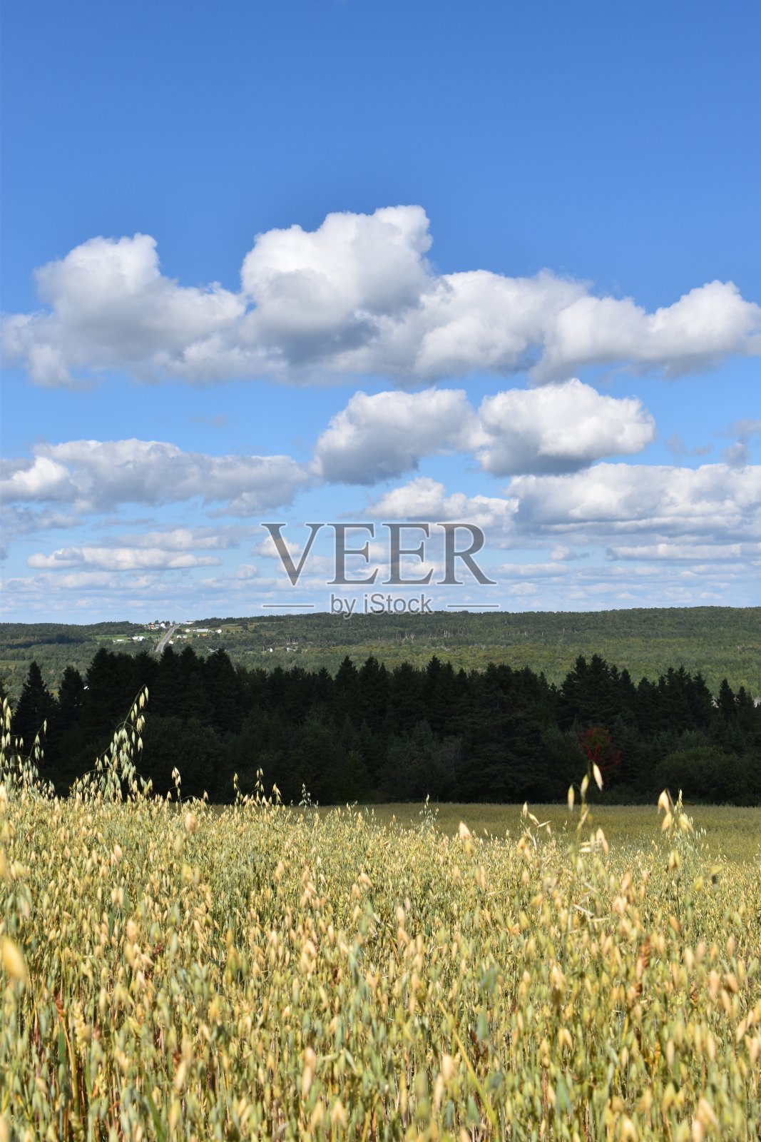 一个蓝色的天空照片摄影图片