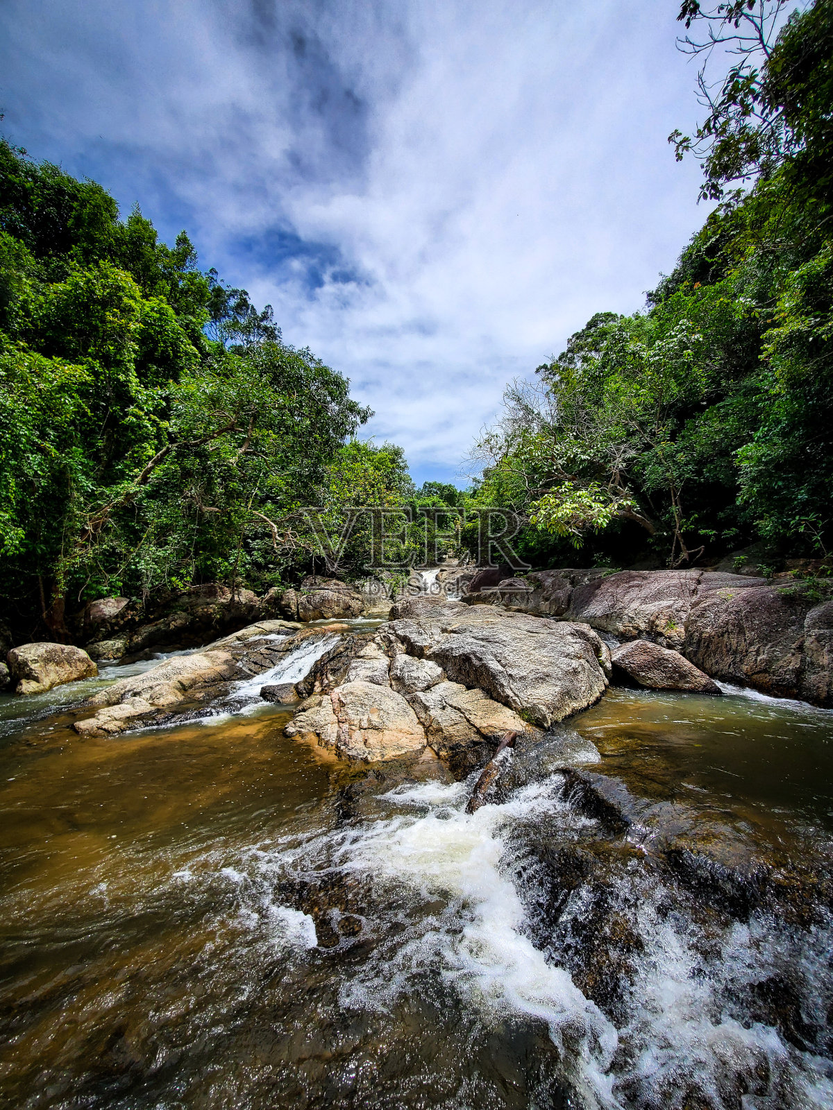 河在森林照片摄影图片