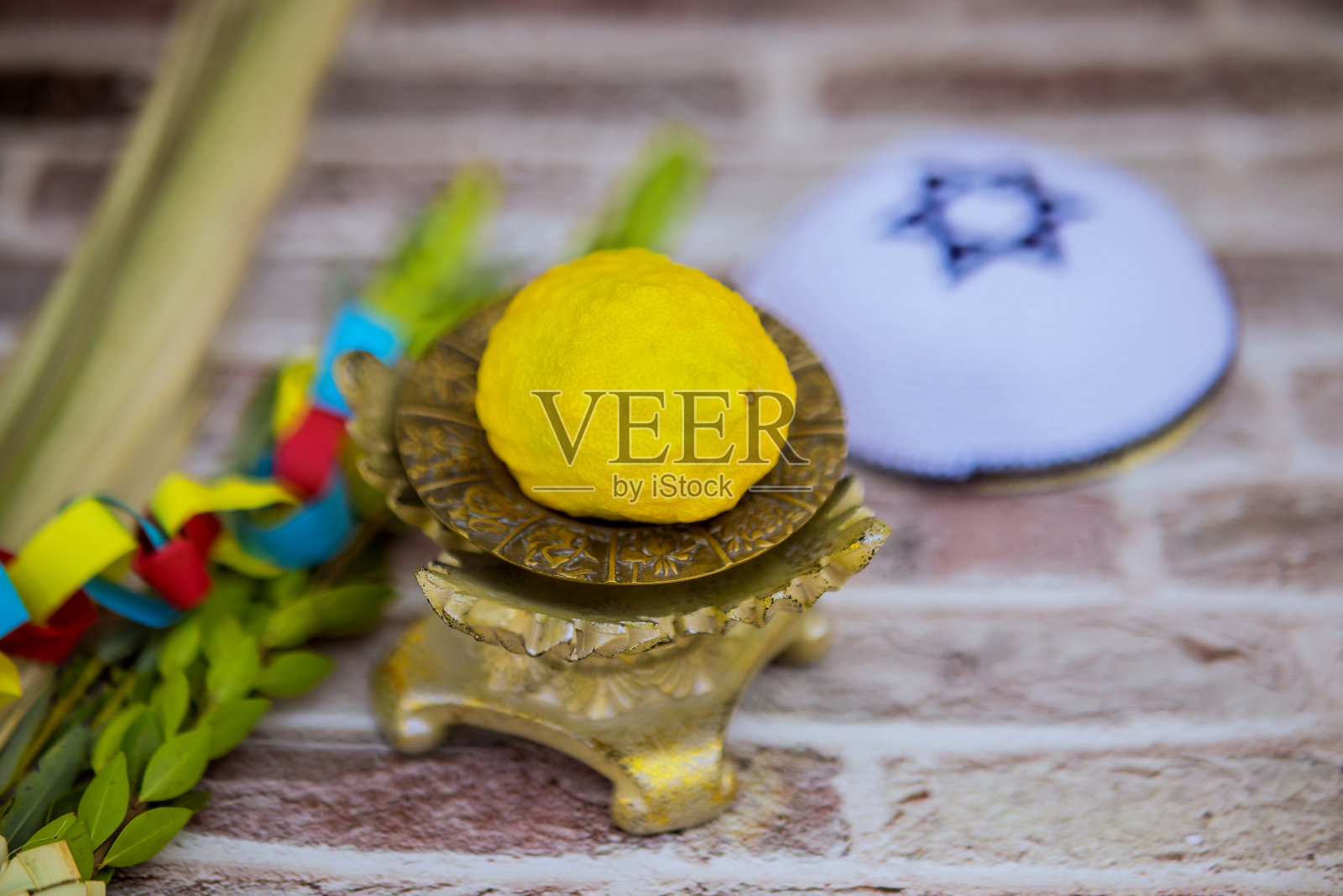 犹太节日住棚节的传统象征:香橼、棕榈枝、香桃木和柳枝照片摄影图片