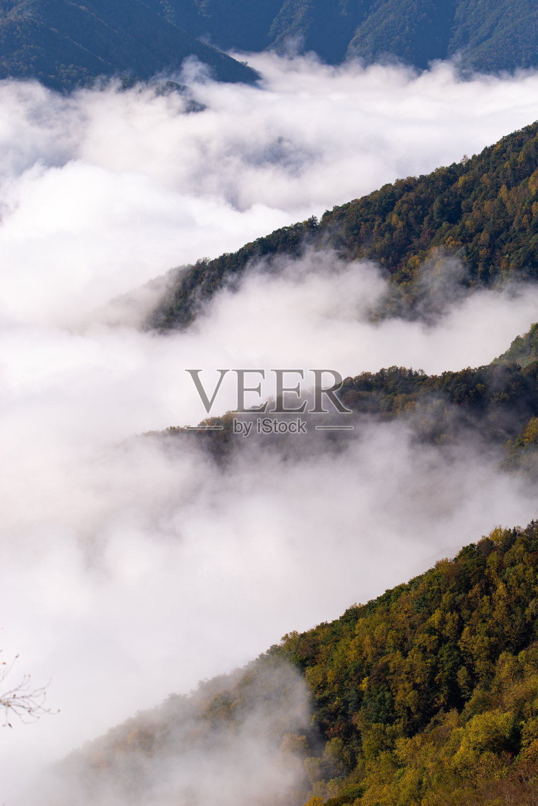 秋叶和云海照片摄影图片