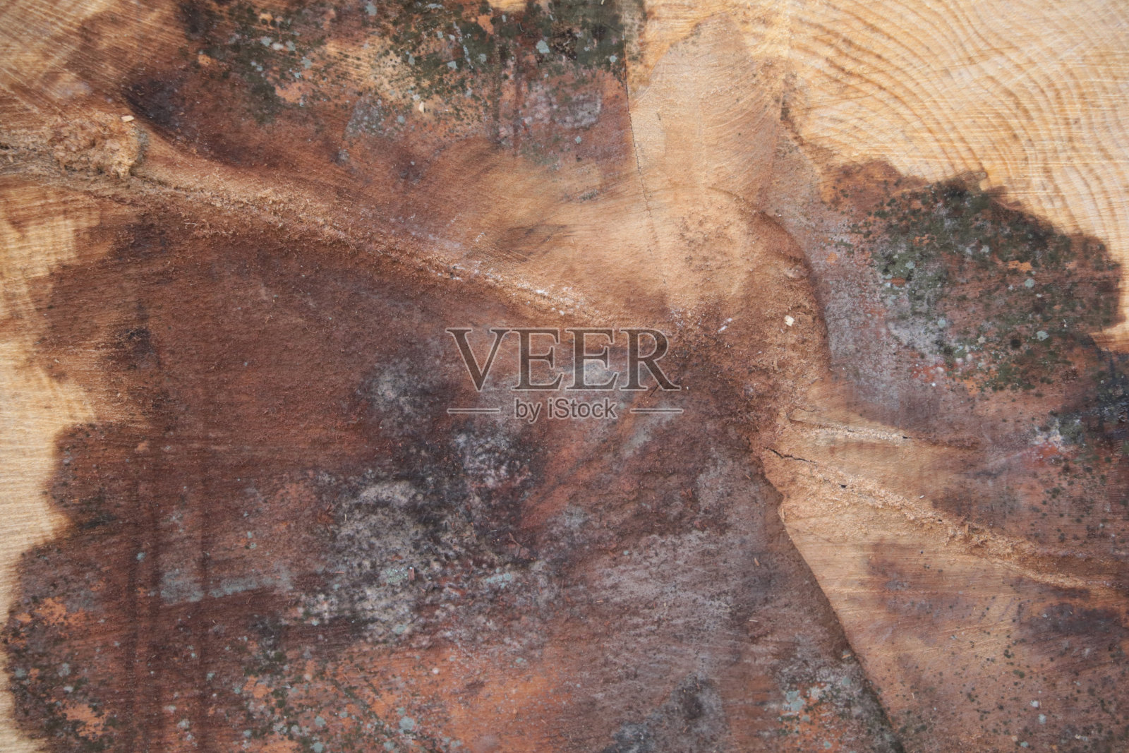 抽象的木头的背景。被切割的木头的质地。照片摄影图片