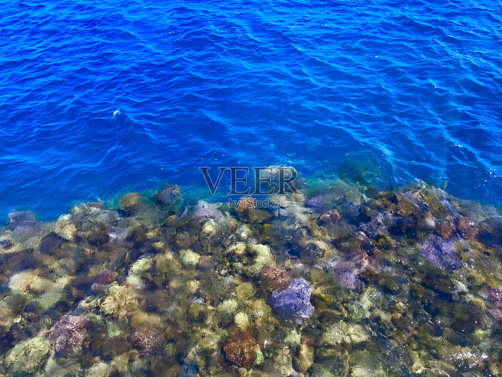 塔希提岛照片摄影图片