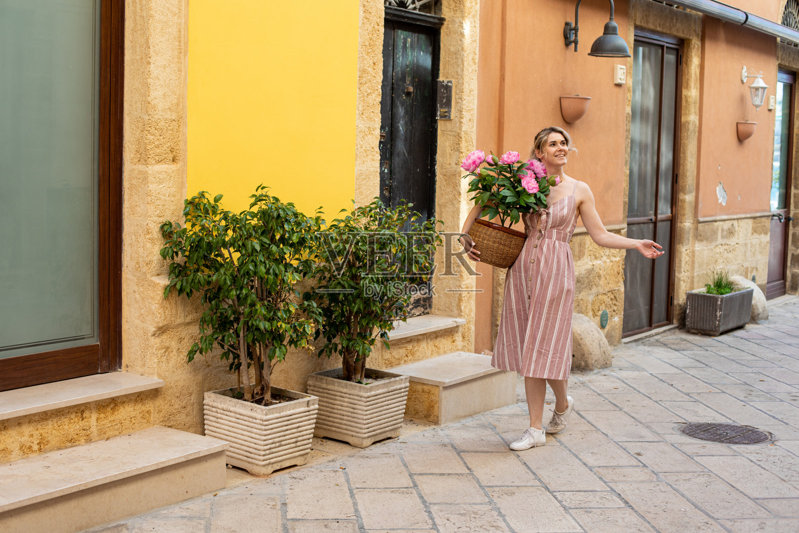 年轻的女人微笑着穿着夏天的粉红色条纹连衣裙走在橄榄树附近,拿着一盆粉红色的牡丹花。照片摄影图片