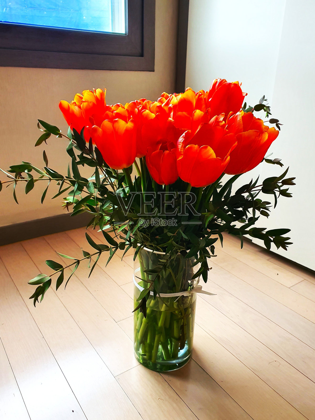 2020年花照片摄影图片