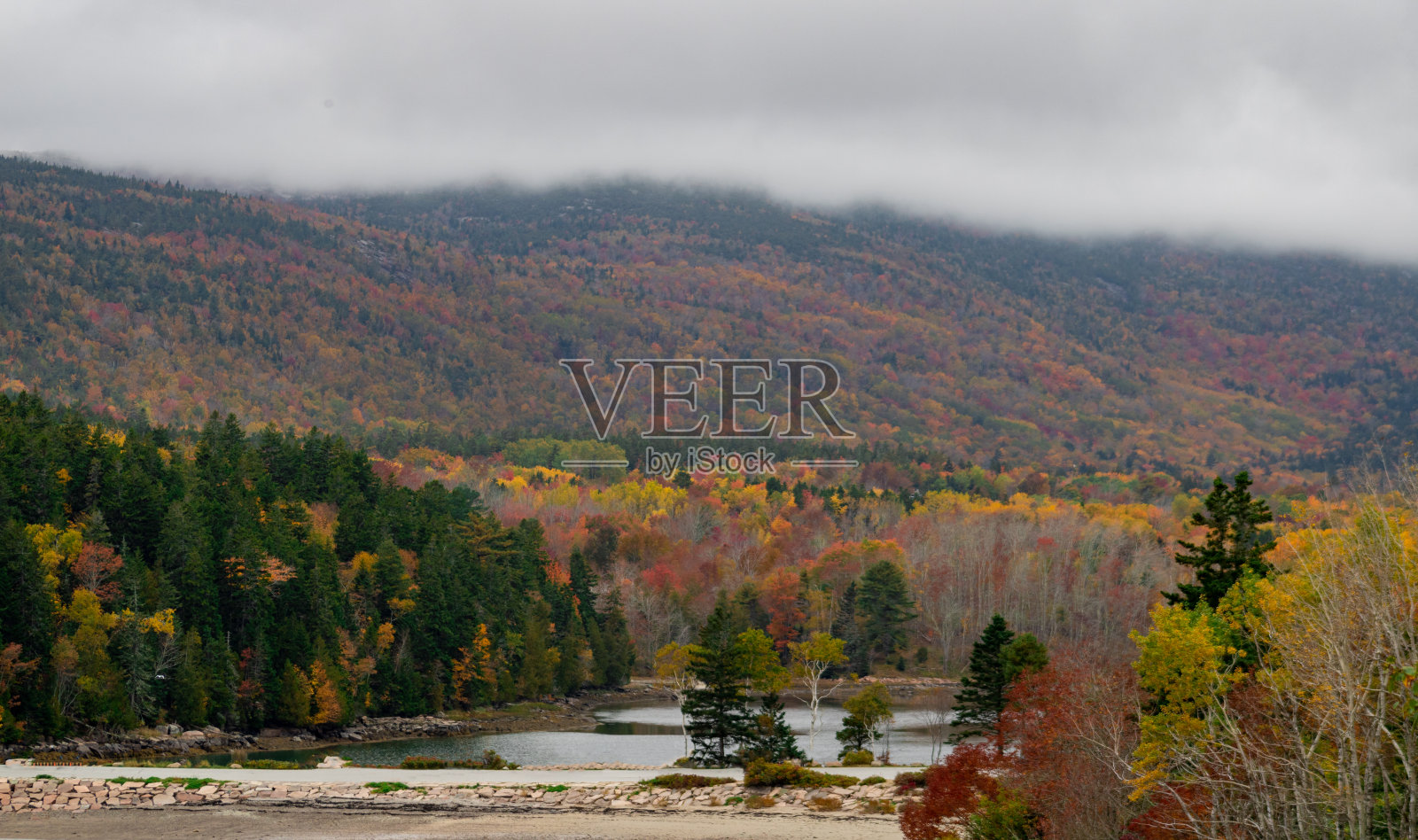 秋叶在美国缅因州阿卡迪亚国家公园达到了顶峰照片摄影图片