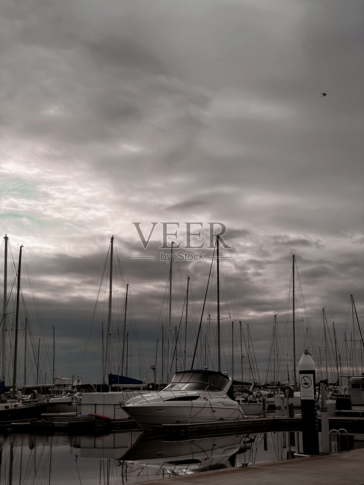 码头上漂亮的游艇。航行在夜晚,黑暗的背景照片摄影图片