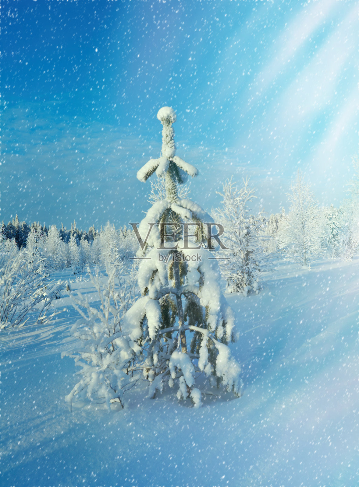 冬天的风景照片摄影图片