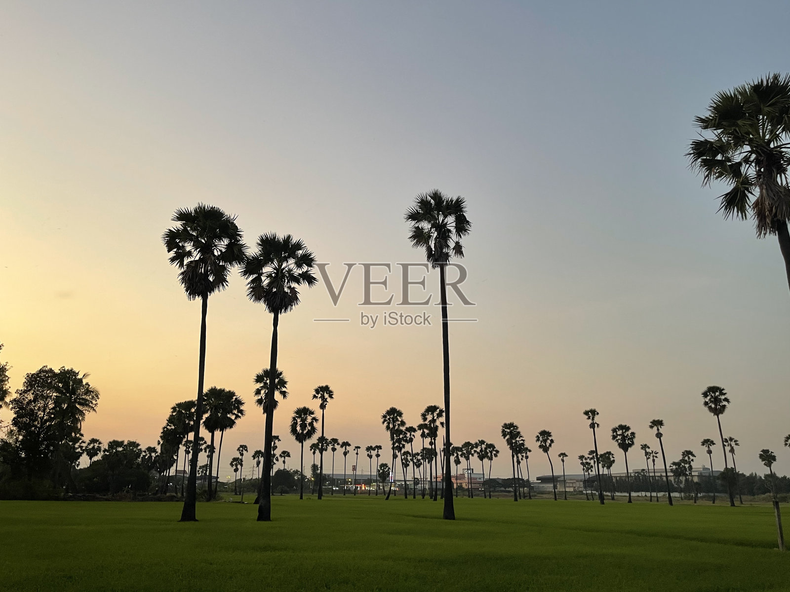 日落、字段照片摄影图片