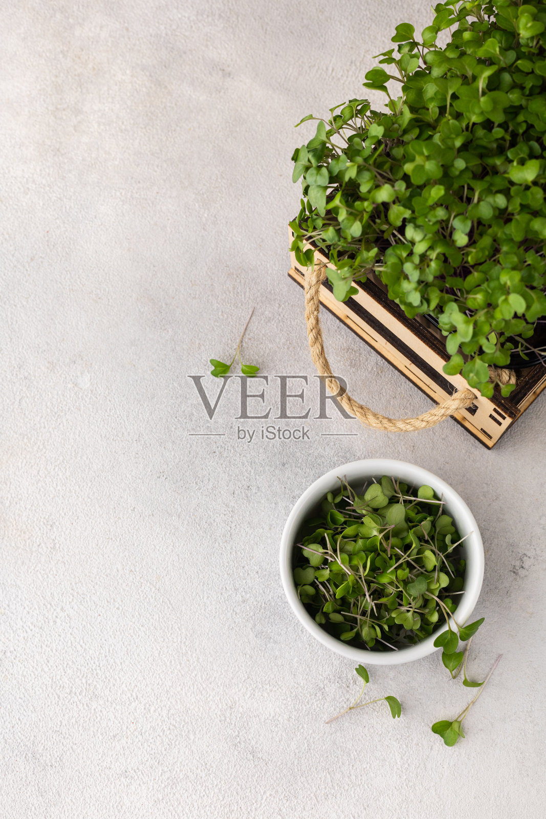 一个木盒里的微型蔬菜和一个浅灰色背景的白色碗照片摄影图片