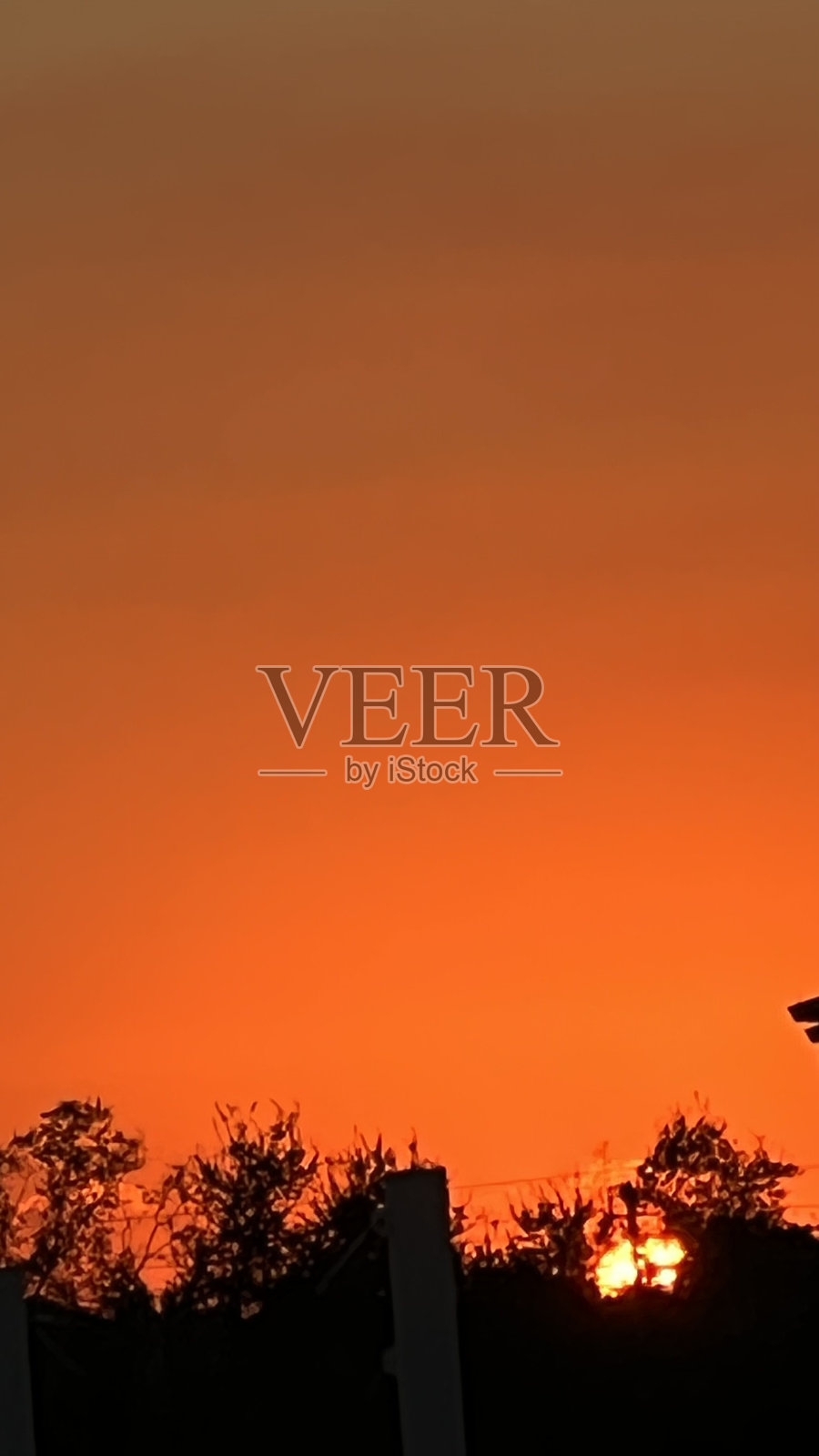 晚安,公园里美丽的日落照片摄影图片