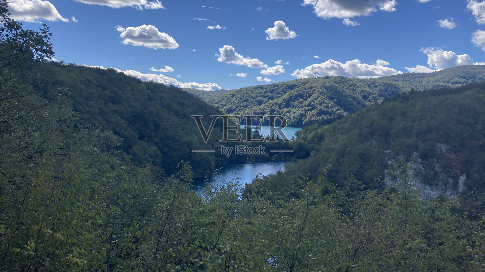 自然、野生动物和水照片摄影图片