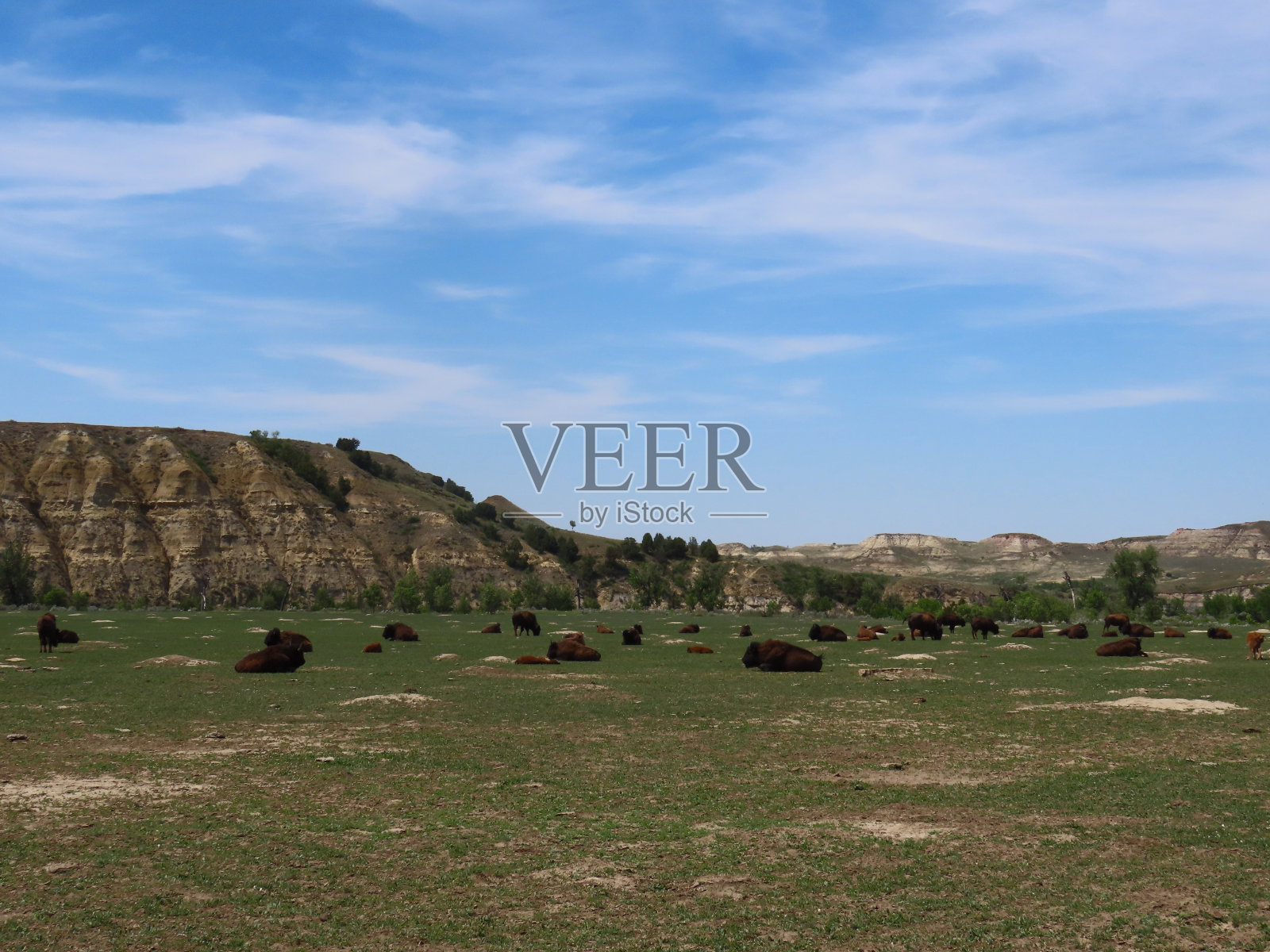 北达科他州的西奥多·罗斯福国家公园照片摄影图片