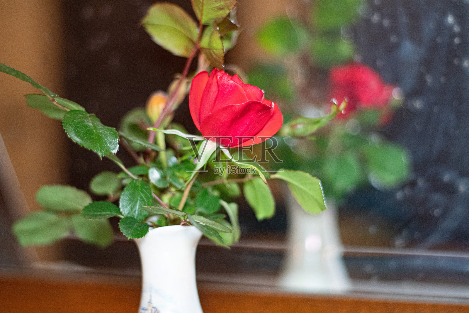 白花瓶里的红玫瑰倒映在桌上的镜子里。照片摄影图片