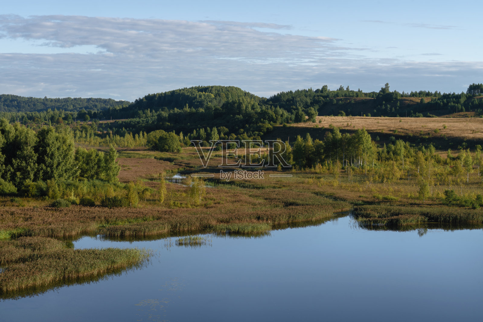 伊兹博斯克,普斯科夫地区的佩切尔斯克区,一个阳光明媚的夏日,伊兹博斯克-马尔斯卡娅山谷和戈罗迪什琴斯克湖的风景照片摄影图片