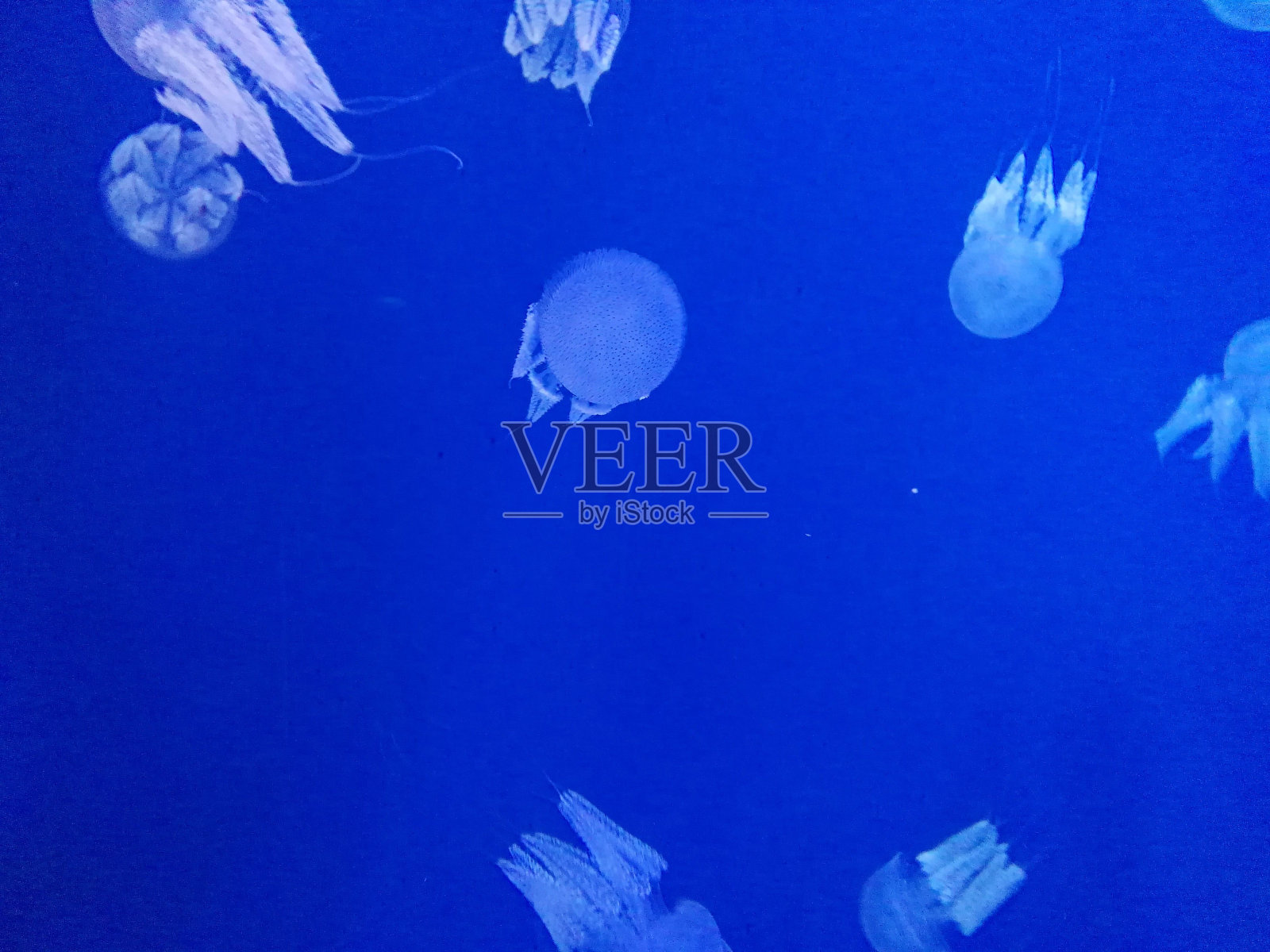 大自然的魅力是如此迷人照片摄影图片